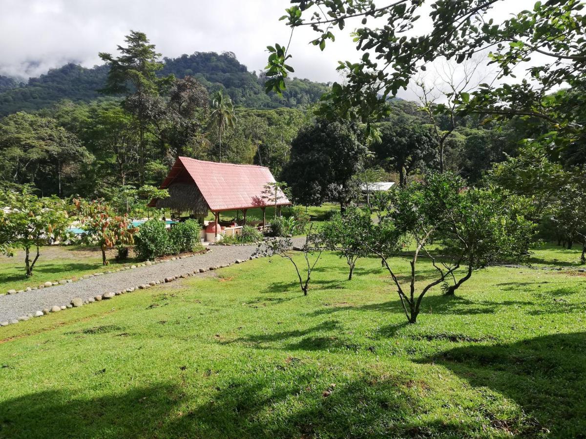 Hacienda Mil Bellezas - Private 40Ha Jungle Reserve Кепос Екстериор снимка