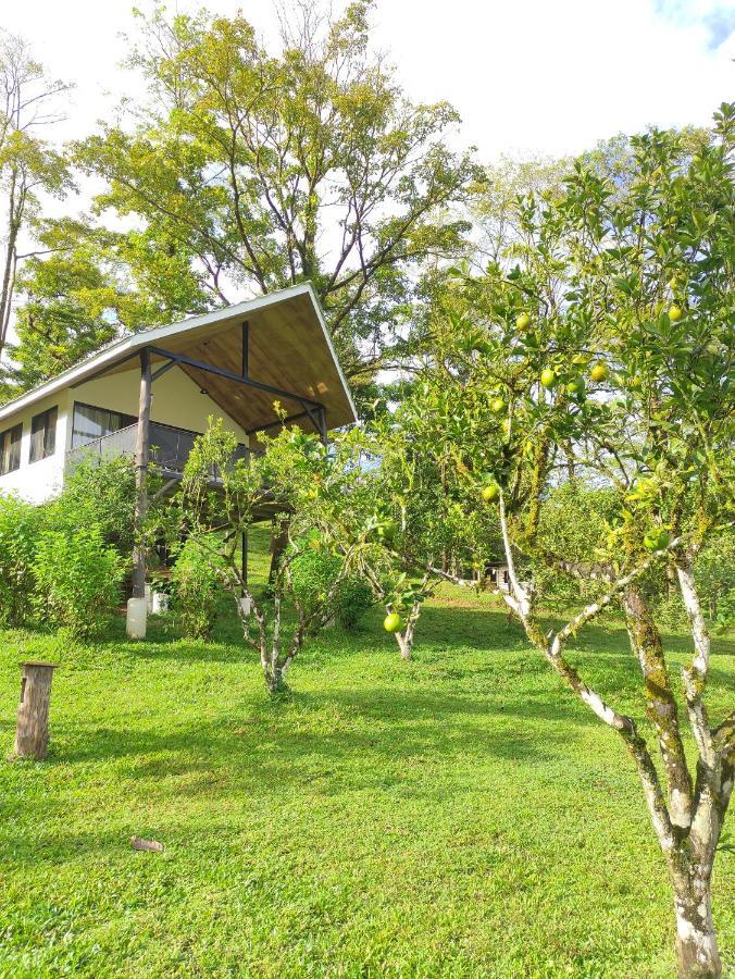 Hacienda Mil Bellezas - Private 40Ha Jungle Reserve Кепос Стая снимка