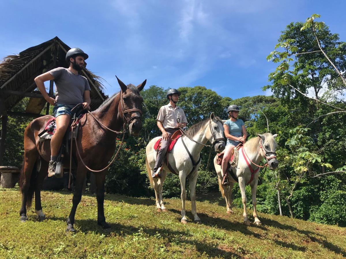 Hacienda Mil Bellezas - Private 40Ha Jungle Reserve Кепос Екстериор снимка