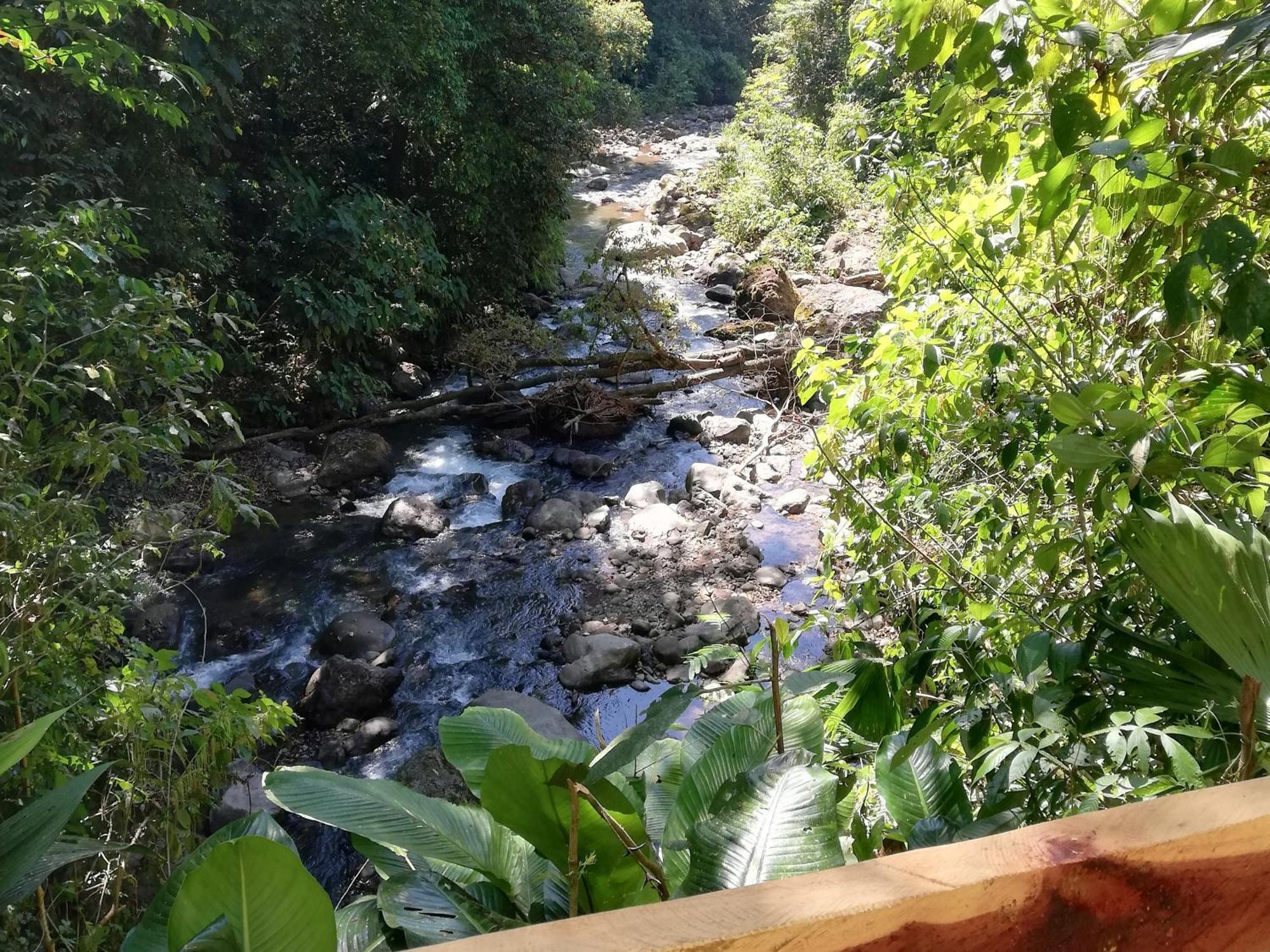 Hacienda Mil Bellezas - Private 40Ha Jungle Reserve Кепос Екстериор снимка