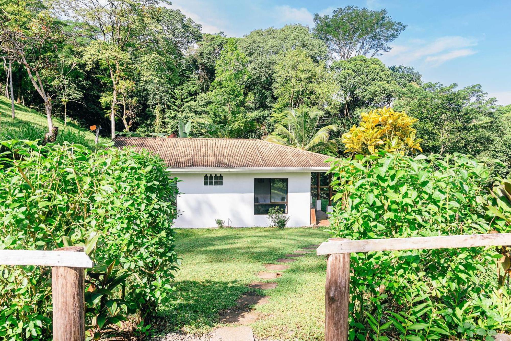 Hacienda Mil Bellezas - Private 40Ha Jungle Reserve Кепос Стая снимка