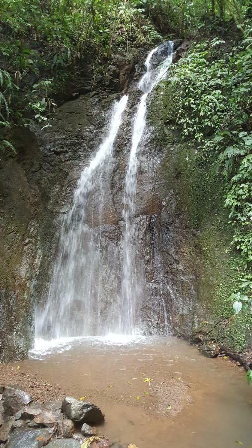 Hacienda Mil Bellezas - Private 40Ha Jungle Reserve Кепос Екстериор снимка