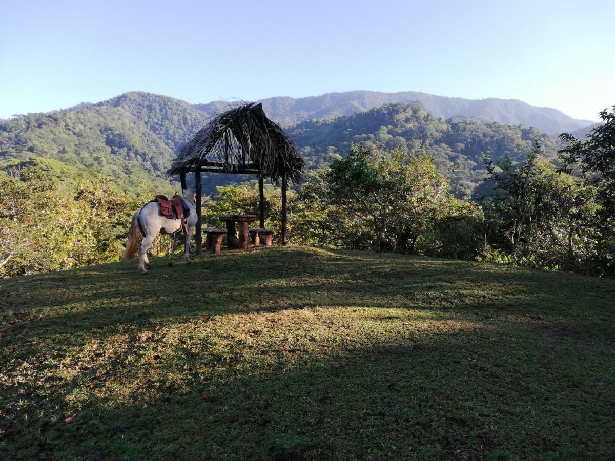 Hacienda Mil Bellezas - Private 40Ha Jungle Reserve Кепос Екстериор снимка