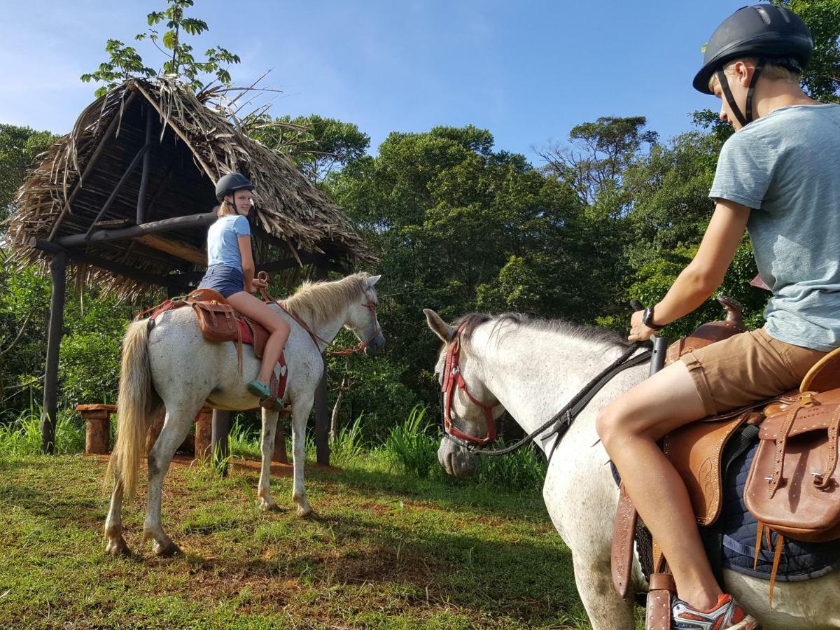Hacienda Mil Bellezas - Private 40Ha Jungle Reserve Кепос Екстериор снимка